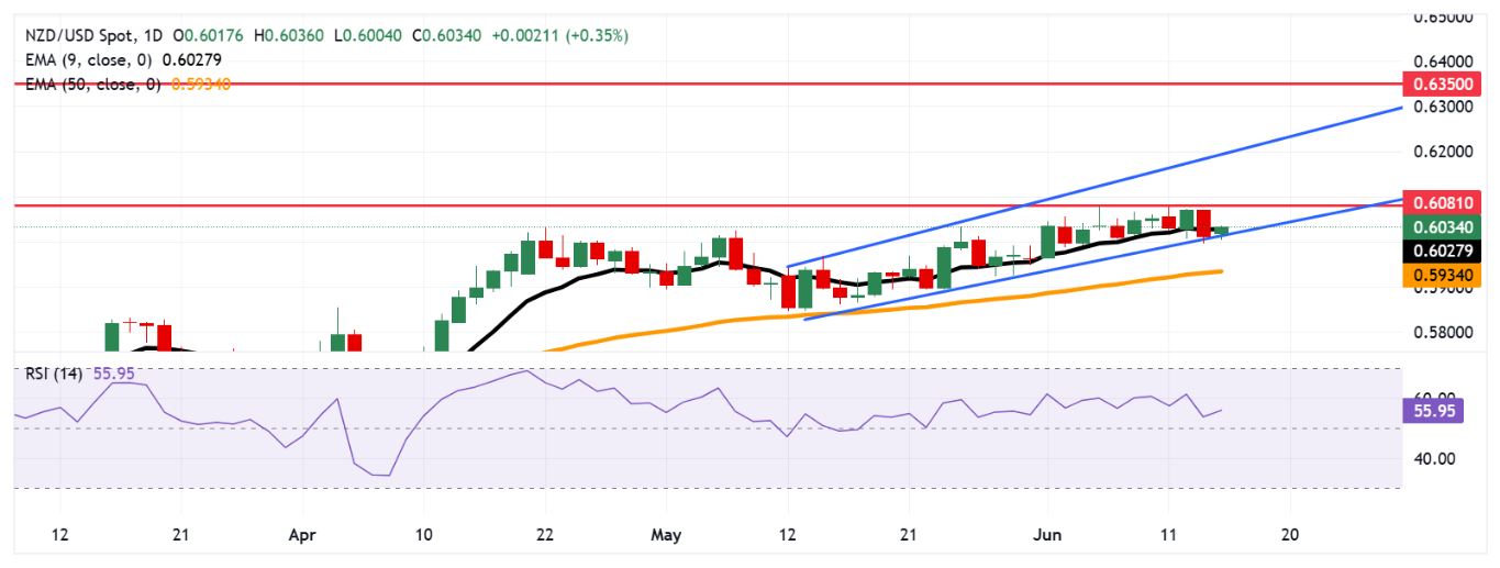 Dự báo giá NZD/USD: Tiến tới 0,6050 sau khi vượt qua đường EMA chín ngày