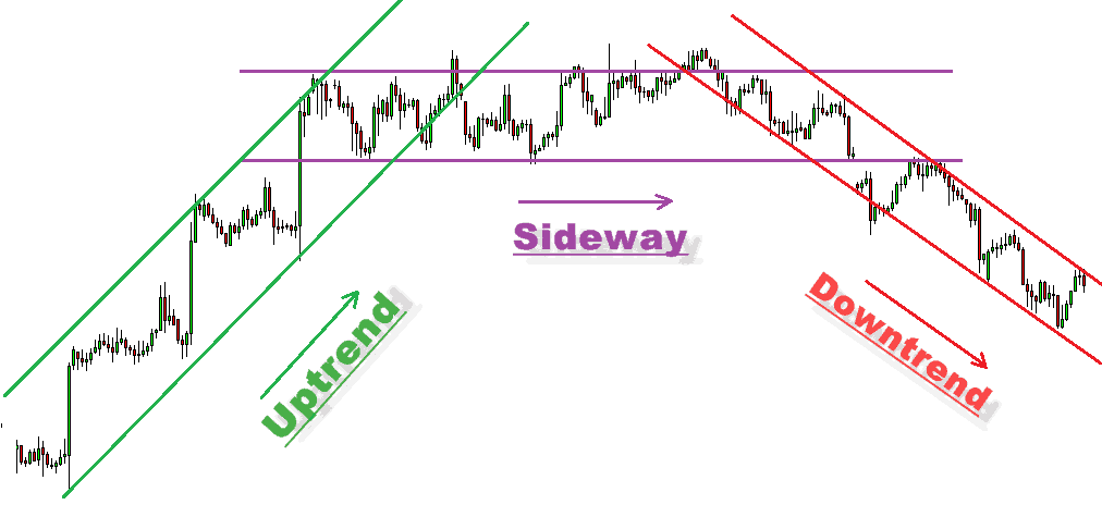 Xu Hướng Là Gì Trong Trading? Tại Sao Cần Phải Bám Xu Hướng?