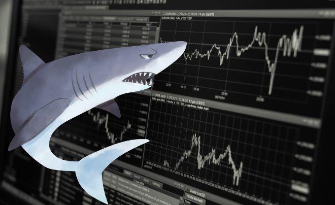 Ai là cá mập trong forex? Mục đích và vai trò của các cá mập là gì?