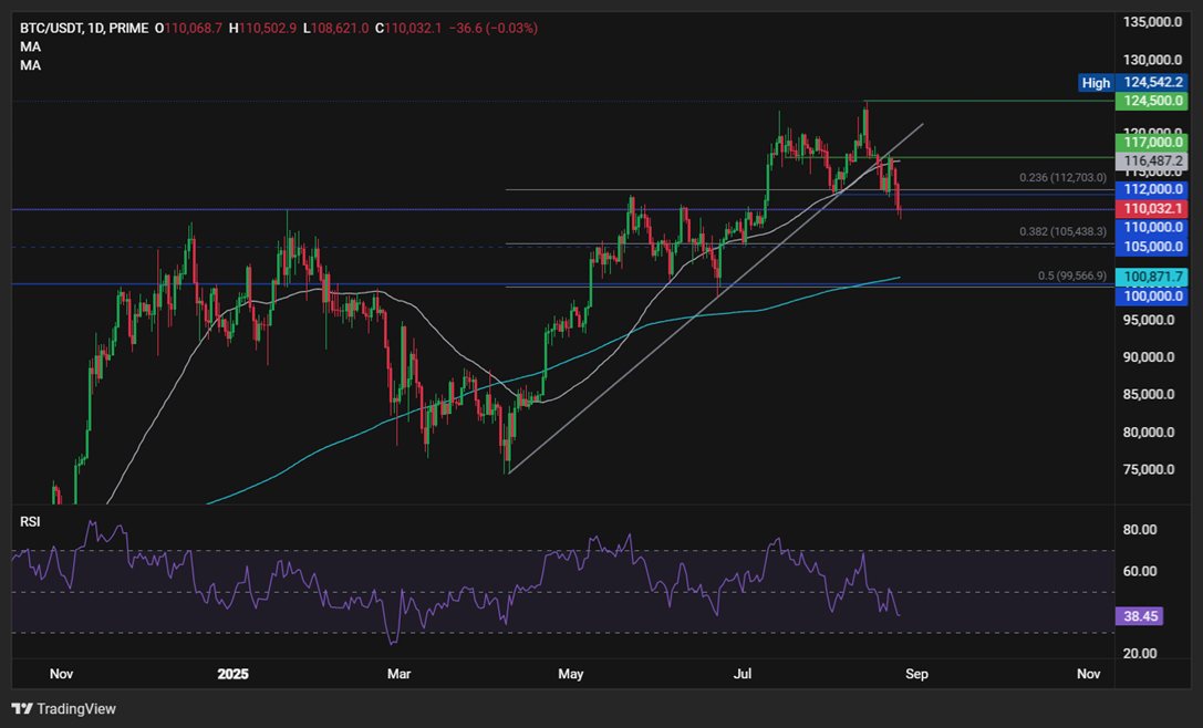 Bitcoin giảm xuống 110.000 – Đây là lý do và hướng đi tiếp theo của BTC?