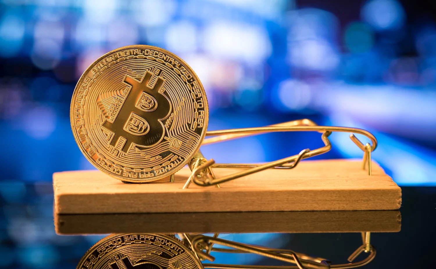 Gần 100 công ty lao vào dự trữ crypto: Cơ hội tỷ đô hay bong bóng tiềm ẩn?