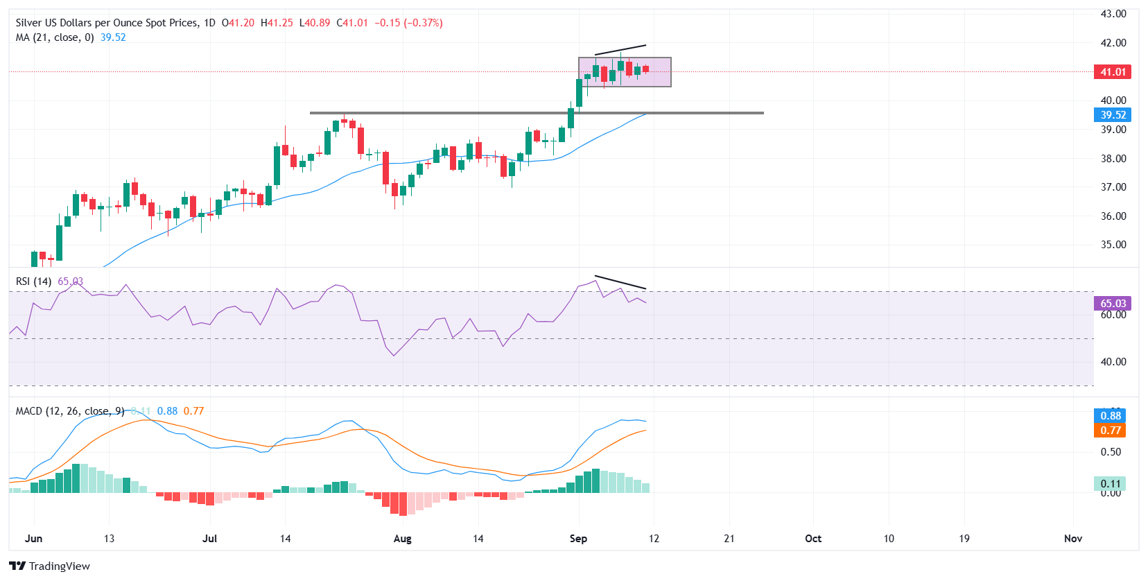 Dự báo giá bạc: XAG/USD củng cố gần mức 41,00 đô la trước thềm CPI của Hoa Kỳ