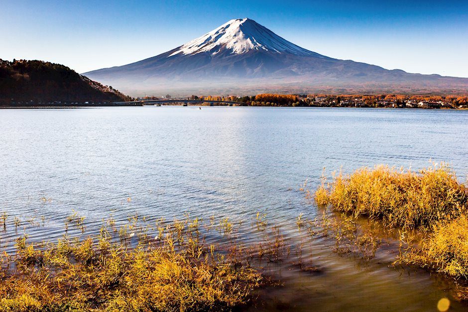 Hayashi của Nhật Bản cho biết đồng Yên Nhật yếu góp phần gây ra lạm phát