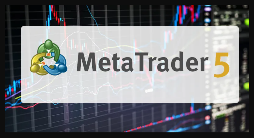 Metatrader 5 (MT5) rút tiền như thế nào? Hướng dẫn chi tiết từ A–Z