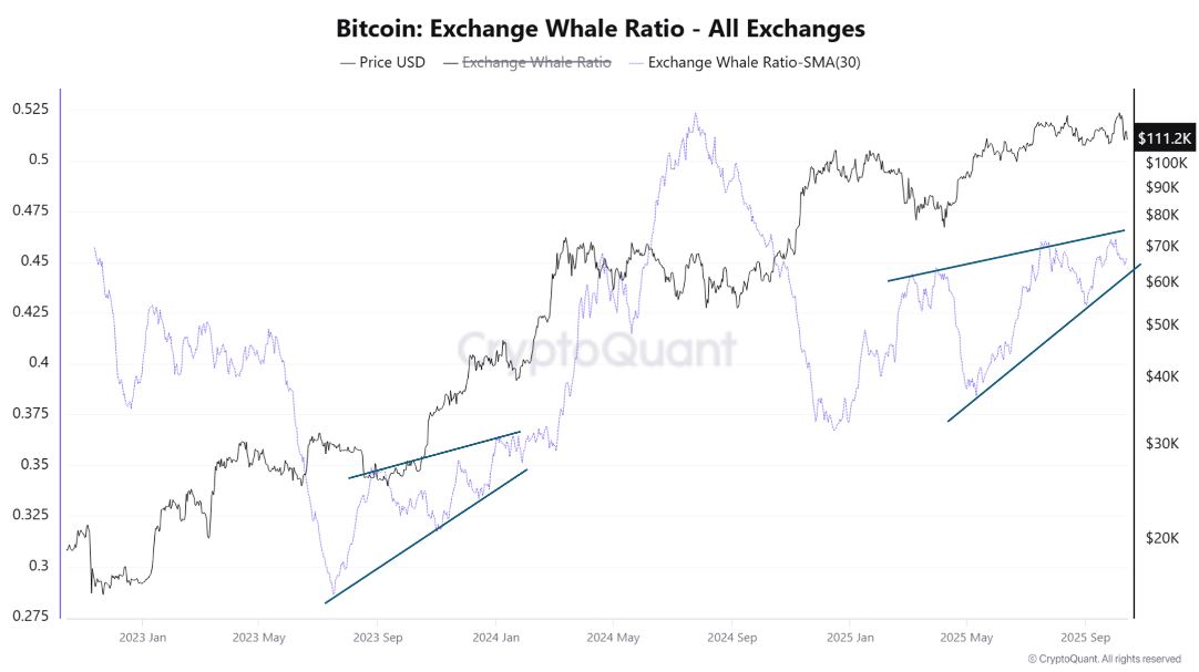 Bitcoin đã lập kỷ lục nào trên chuỗi vào tháng 10 Và chúng có ý nghĩa gì?