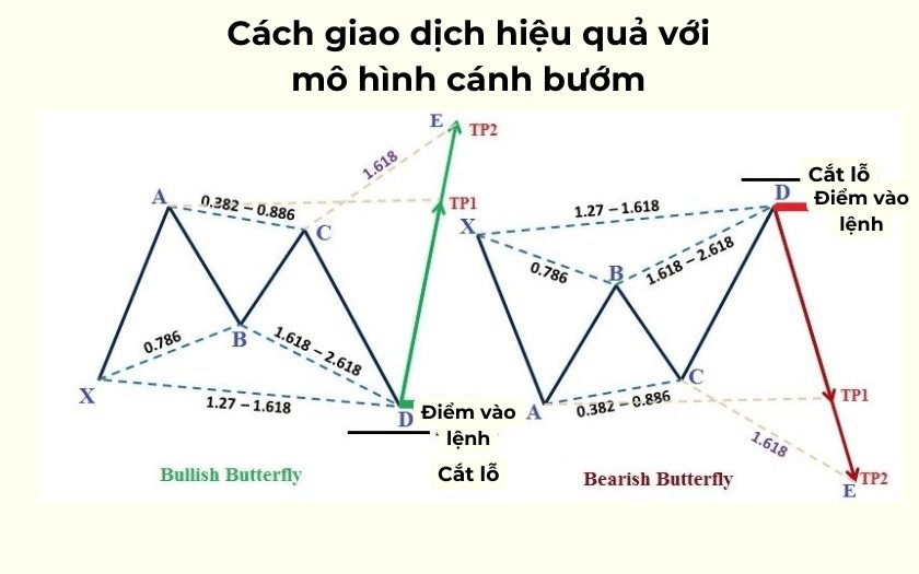 Mô hình cánh bướm trong Forex: Khái niệm và ứng dụng Butterfly Pattern hiệu quả