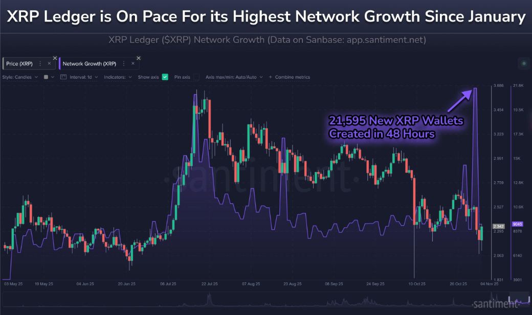 Giá XRP và ví XRP mới. Nguồn: Santiment.