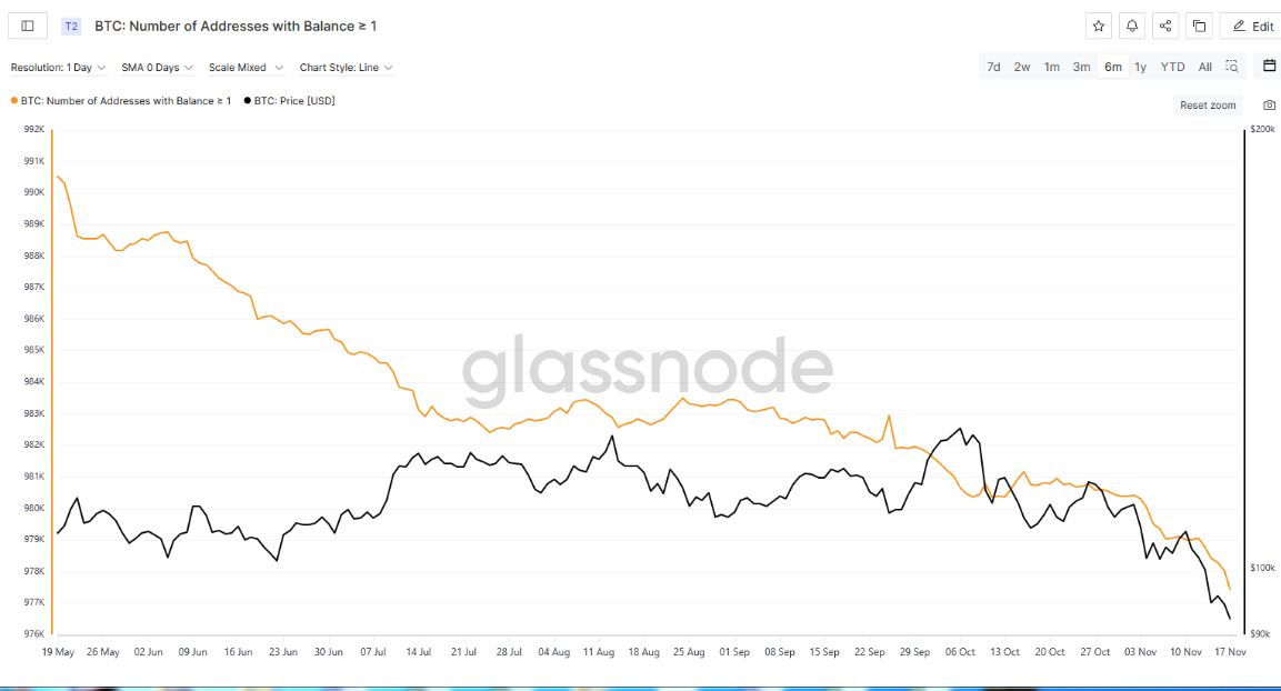 Cá voi Bitcoin chuyển sang mua vào giữa "nỗi sợ hãi tột độ"