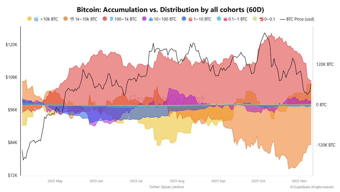 Những cá voi Bitcoin mới phải đối mặt với áp lực khi giá giảm xuống dưới mức giá gốc