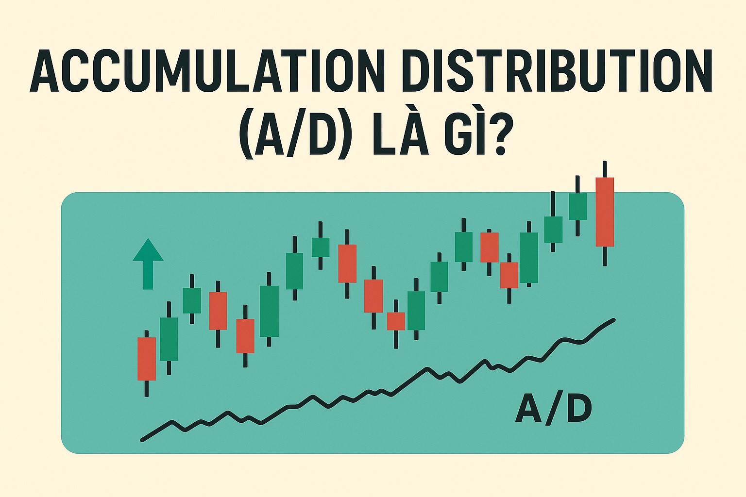 Accumulation Distribution (A/D) là gì? Cách sử dụng chỉ báo A/D trong phân tích kỹ thuật Forex