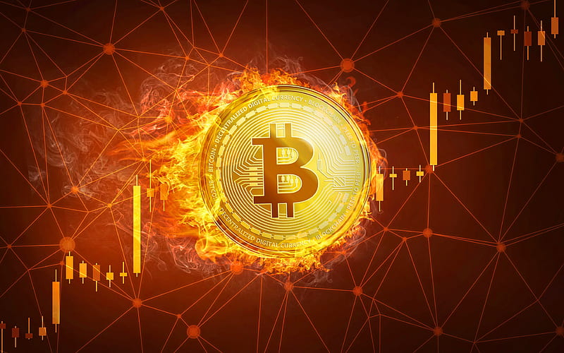 Bitcoin giữ vững 106.154 USD: Xu hướng tăng duy trì nhưng áp lực chốt lời ngắn hạn xuất hiện