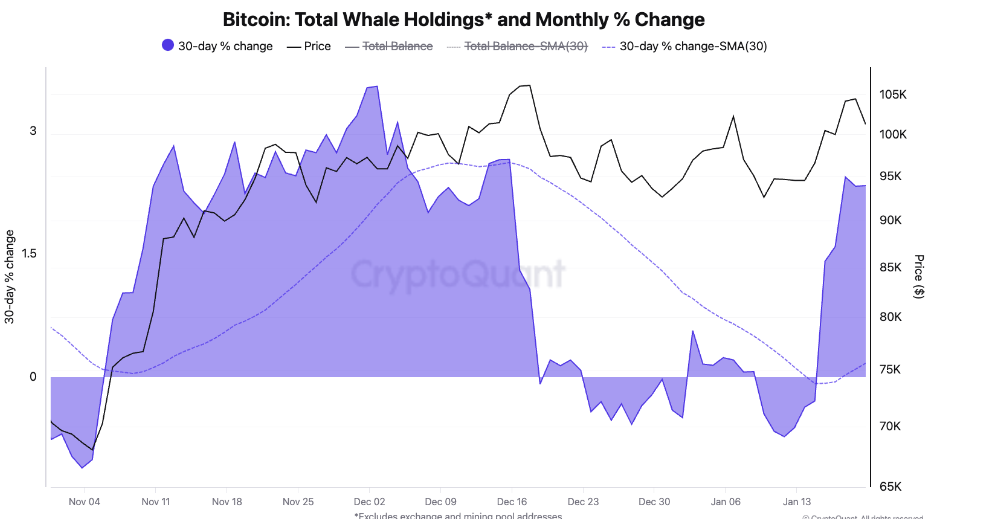 Tổng lượng Bitcoin mà các nhà đầu tư lớn nắm giữ vào ngày nhậm chức của ông Trump. Nguồn: CryptoQuant