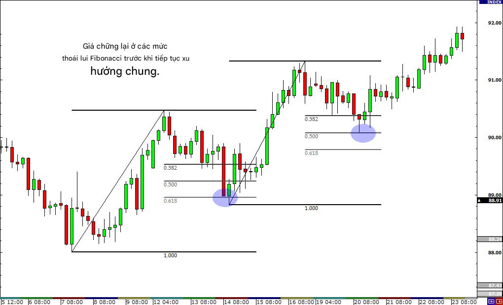 Môi trường thị trường - Cách nhận biết sự đảo chiều và điều chỉnh giá