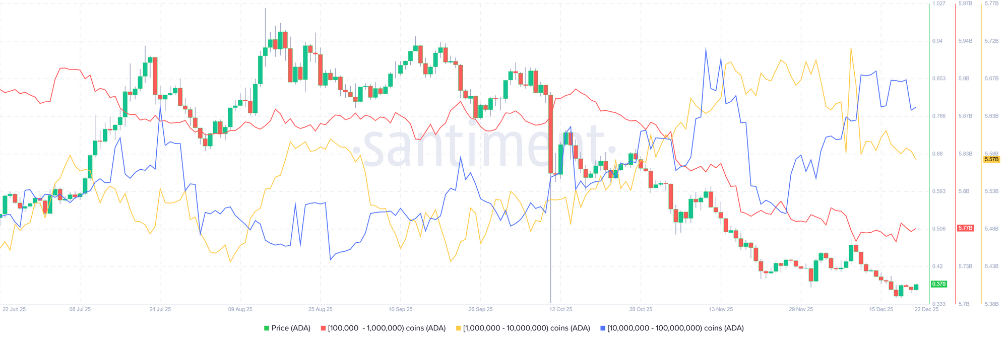 Biểu đồ phân bổ nguồn cung Cardano. Nguồn: Santiment