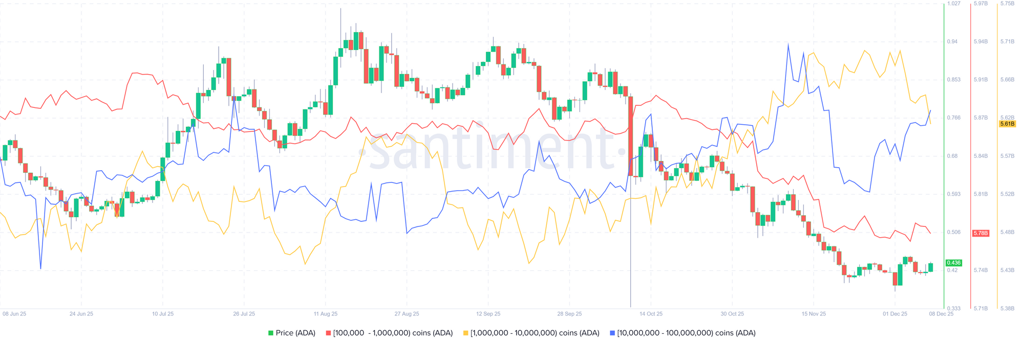 Biểu đồ phân phối nguồn cung Cardano. Nguồn: Santiment