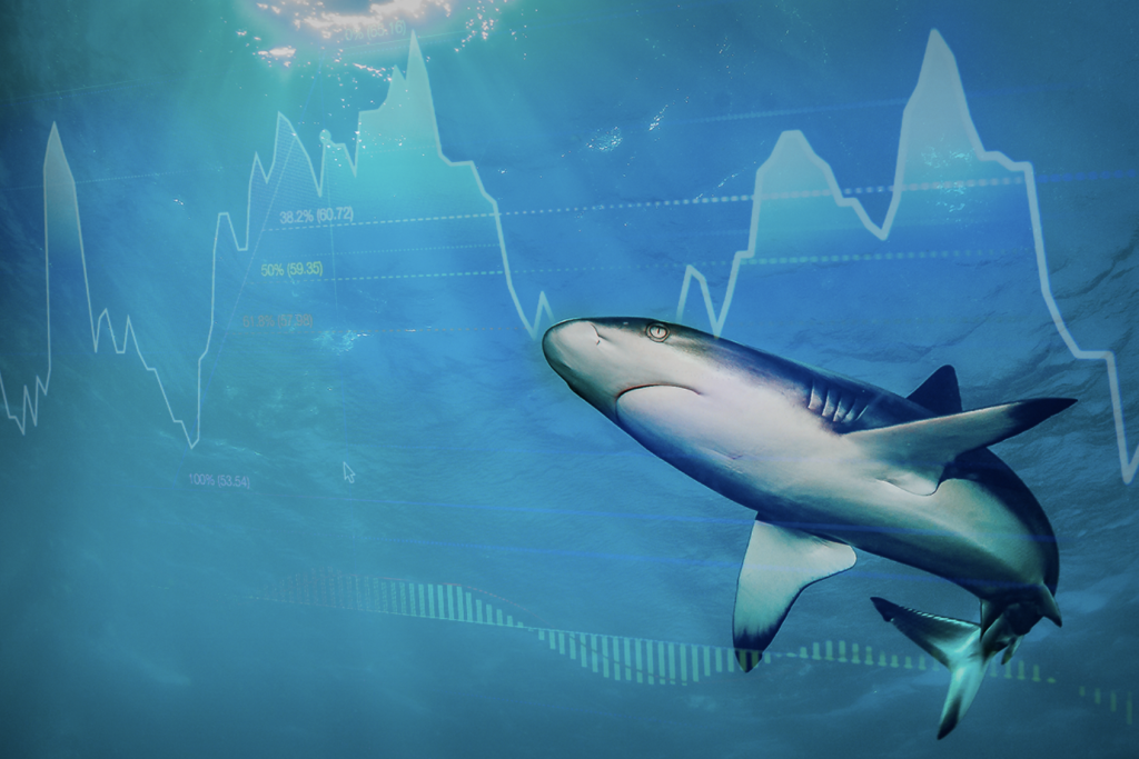 Những “cá mập” trong thị trường Forex là ai và họ tác động đến thị trường với mục đích, vai trò như thế nào?