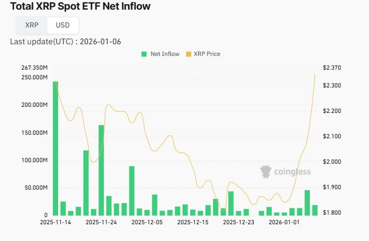 Không có ngày nào dòng tiền chảy ra khỏi các quỹ ETF XRP. Nguồn: Coinglass