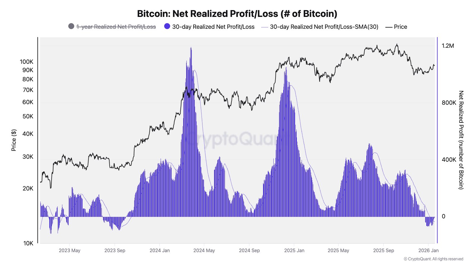 Chỉ số lãi/lỗ ròng thực tế của Bitcoin. Nguồn: Julio Moreno