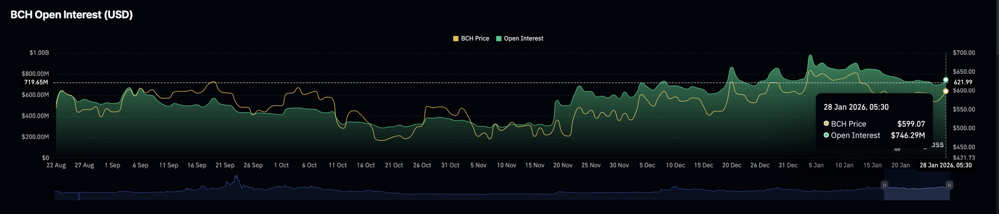 Dữ liệu về khối lượng hợp đồng mở (Open Interest) của BCH. Nguồn: CoinGlass