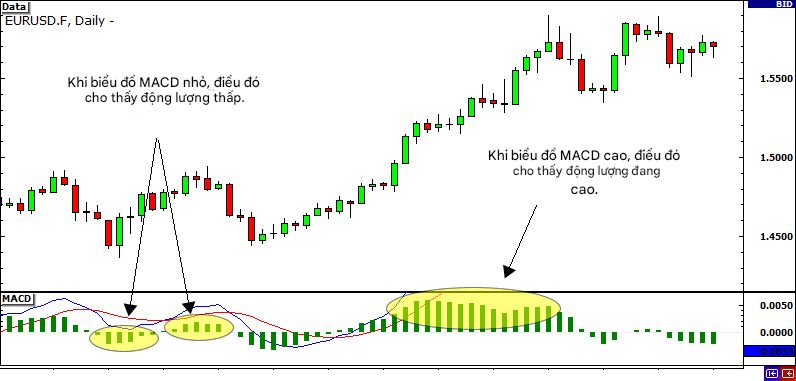 P5: Giao dịch theo tín hiệu đột phá và tín hiệu giả - Cách Đo Lường Sức Mạnh Của Một Sự Bứt Phá