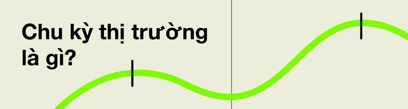 Chu kỳ thị trường: Quy luật tự nhiên hay sản phẩm của niềm tin tập thể?