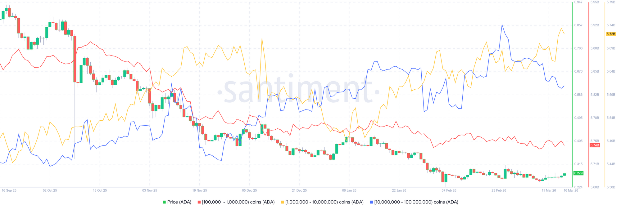 Biểu đồ thống kê phân bổ nguồn cung Cardano. Nguồn: Santiment