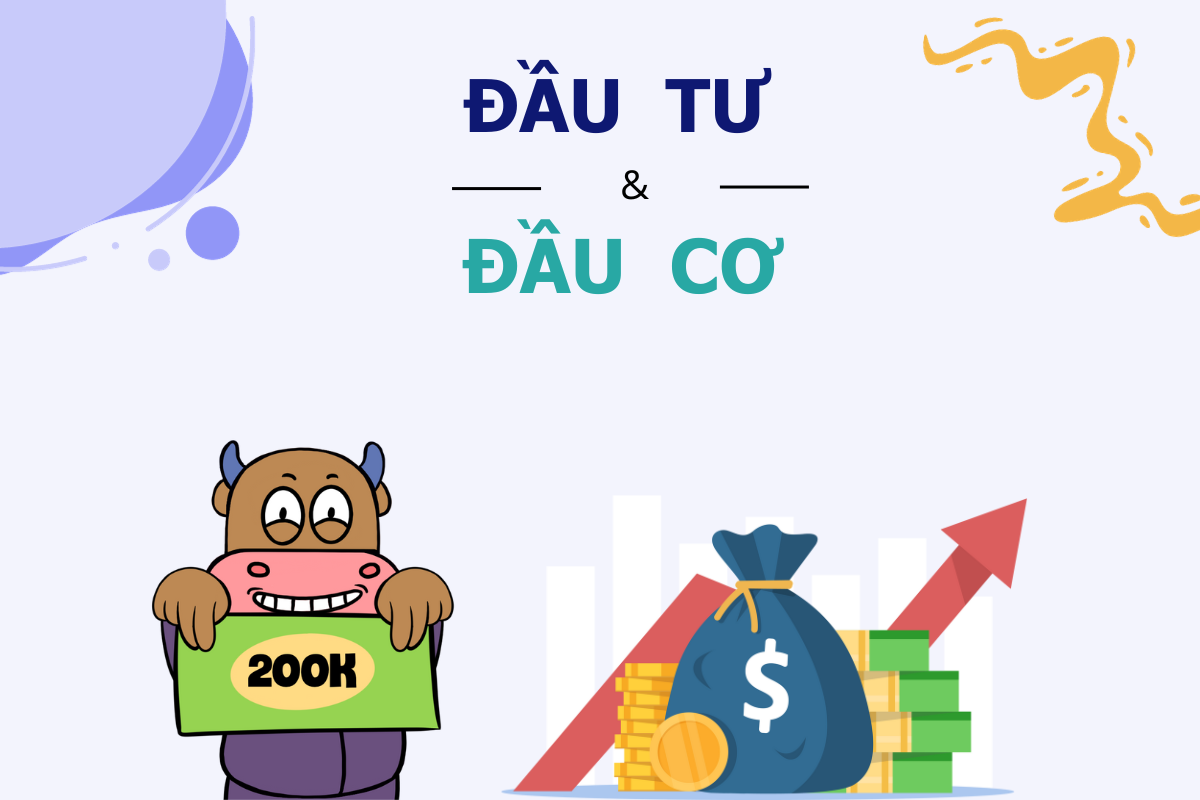Đầu cơ là gì? Đâu là sự khác biệt giữa nhà đầu cơ và nhà giao dịch