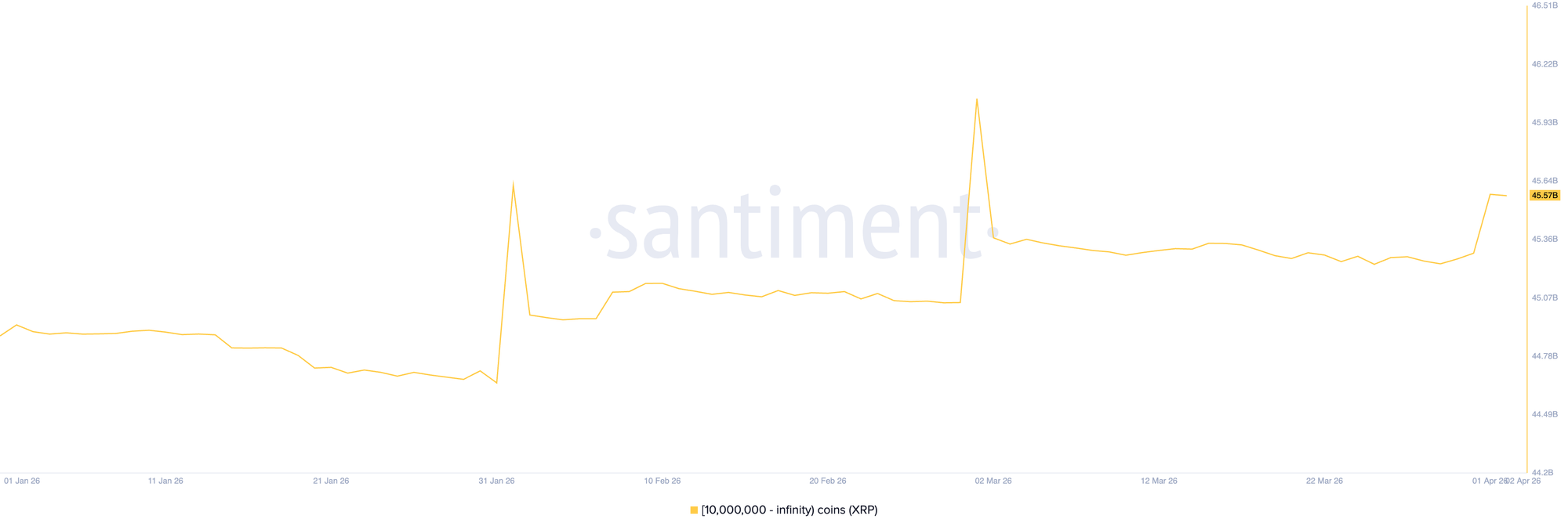 Phân bổ nguồn cung XRP. Nguồn: Santiment