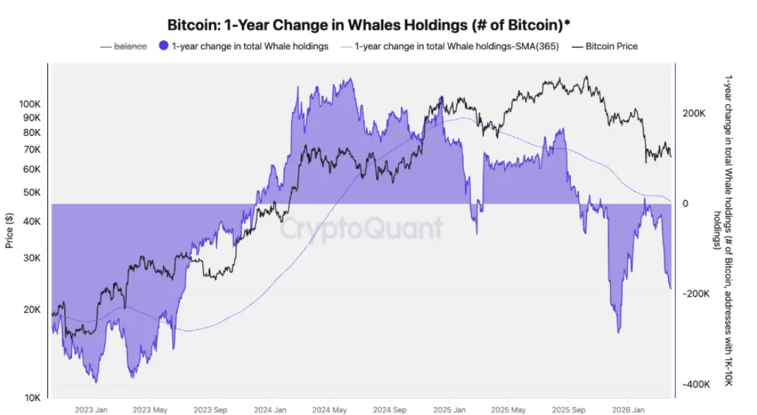 Biểu đồ thể hiện sự thay đổi lượng Bitcoin do các nhà đầu tư lớn nắm giữ trong 1 năm. Nguồn: CryptoQuant