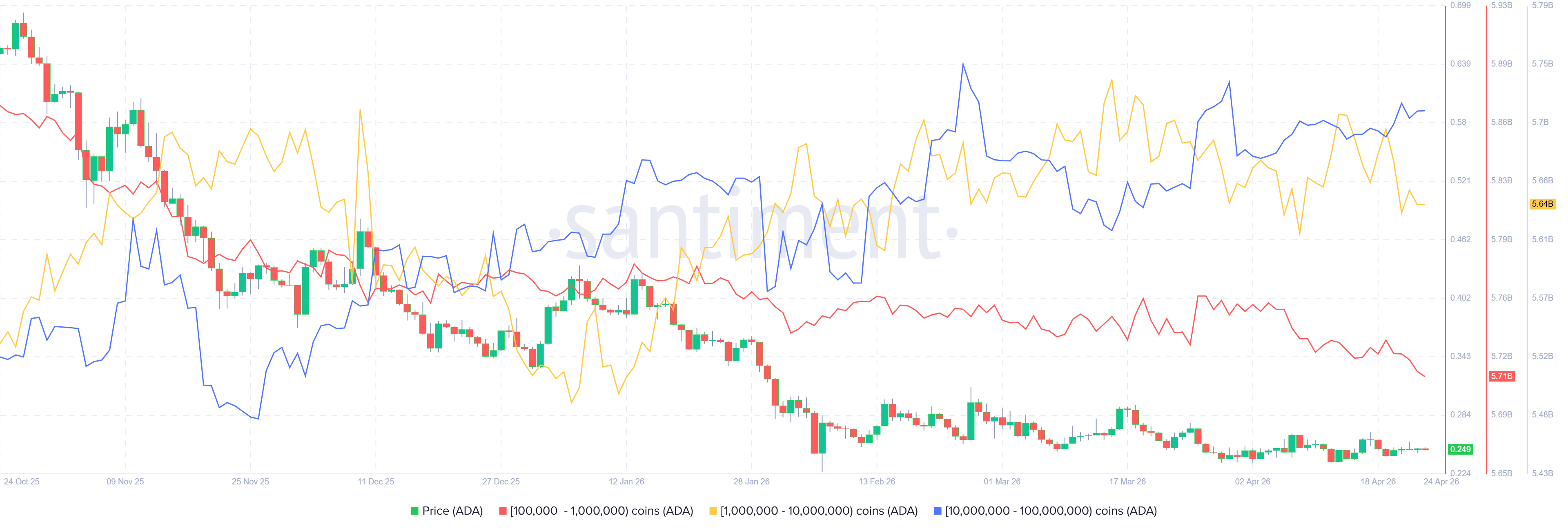 Biểu đồ phân bổ nguồn cung Cardano. Nguồn: Santiment