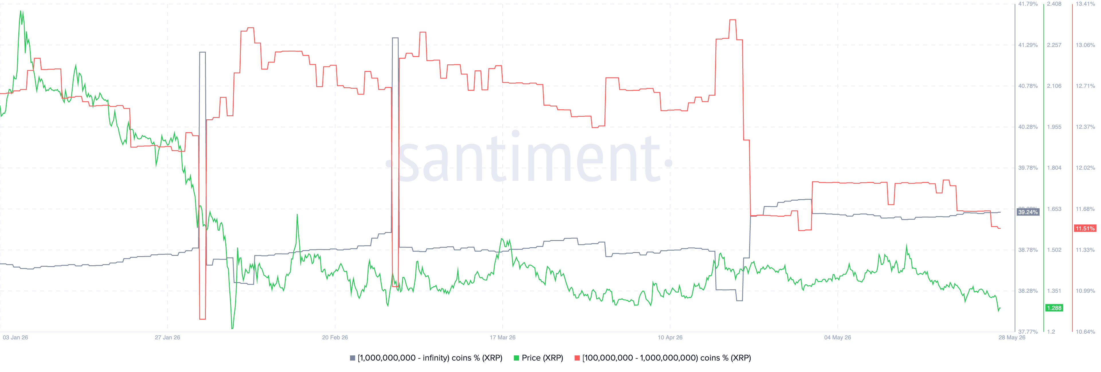 Phân bổ nguồn cung XRP | Nguồn: Santiment