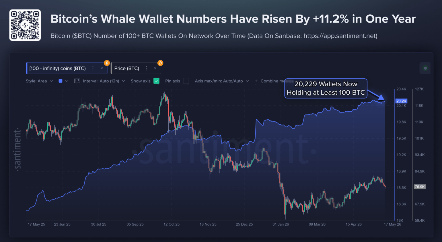 Ví Bitcoin chứa hơn 100 BTC. Nguồn: Santiment