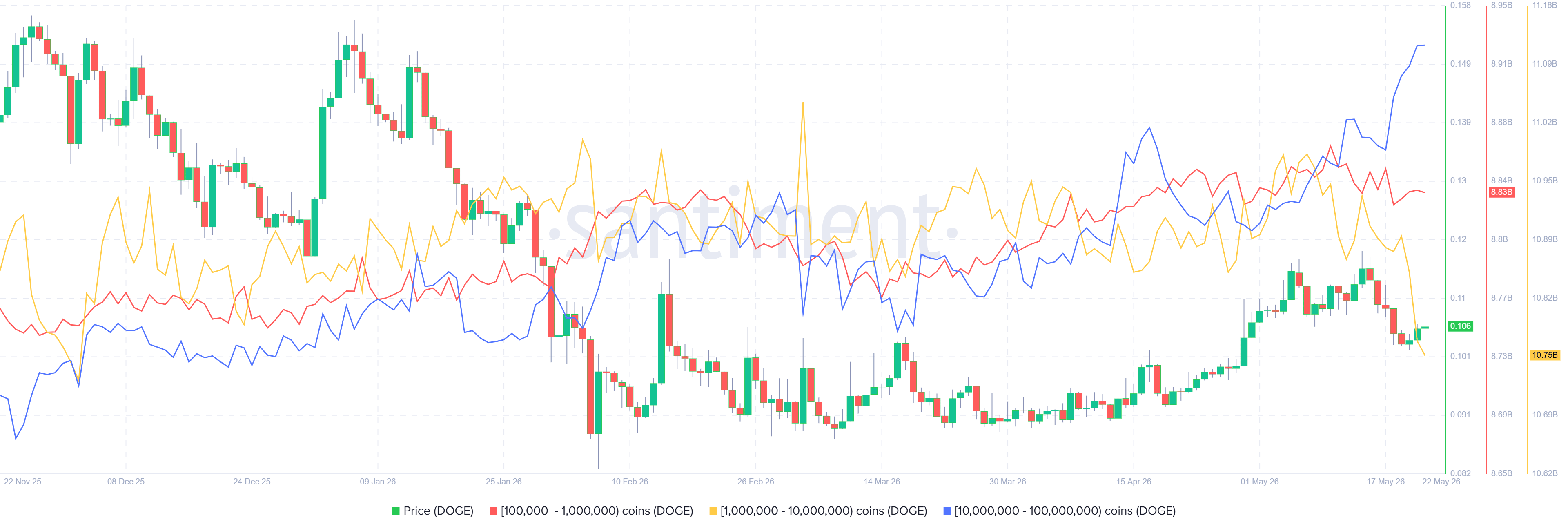 Biểu đồ phân bổ nguồn cung Dogecoin. Nguồn: Santiment
