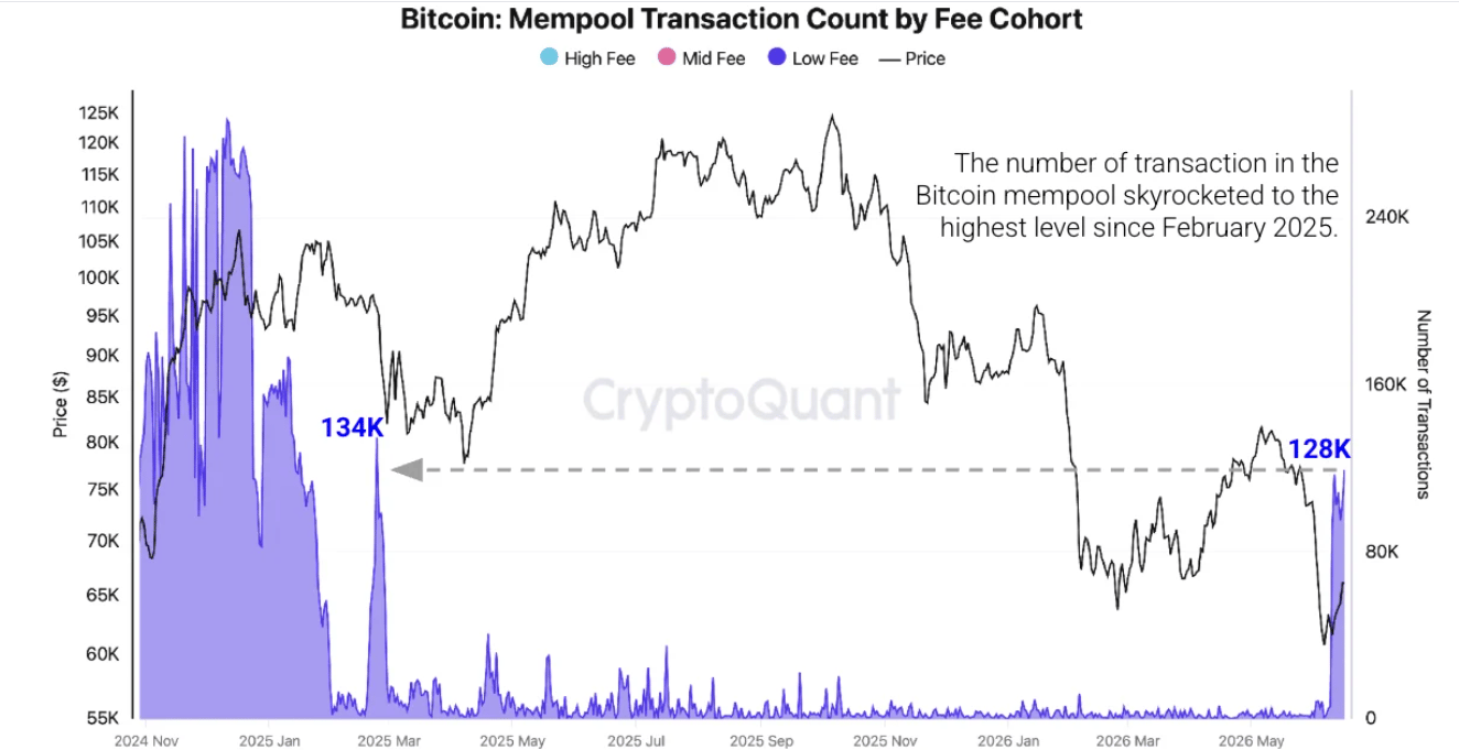 Hoạt động mạng lưới Bitcoin đạt mức cao kỷ lục bất chấp giá cả chững lại - CryptoQuant