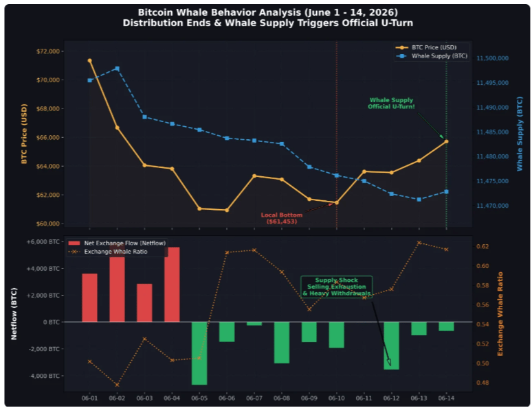 Phân tích hành vi của "cá voi" Bitcoin. Nguồn: CryptoQuant