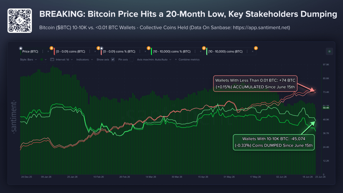 Các "cá voi" Bitcoin đang nắm giữ dữ liệu. Nguồn: Santiment