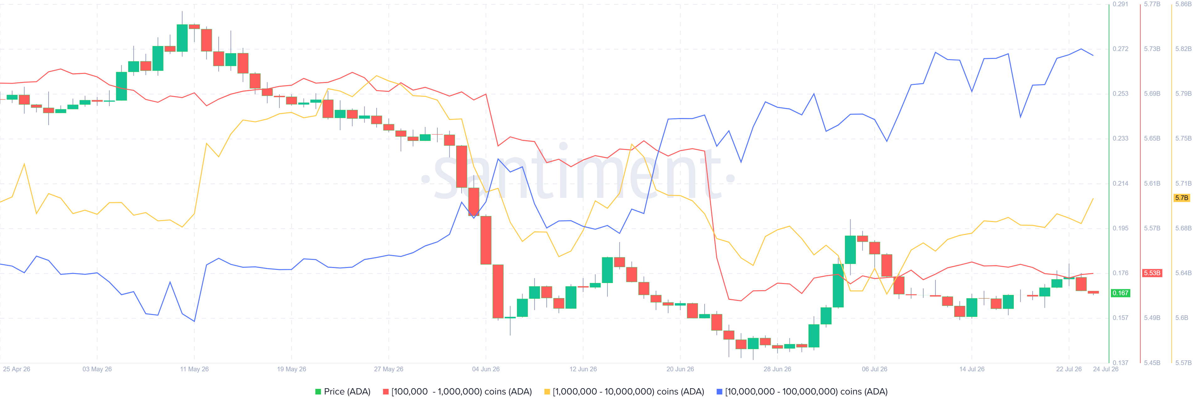 Biểu đồ phân bổ nguồn cung Cardano. Nguồn: Santiment