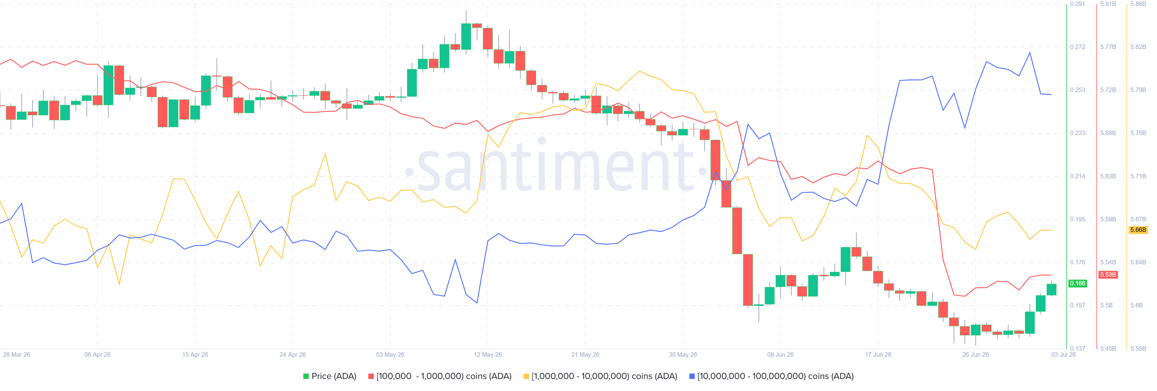 Biểu đồ thống kê phân bổ nguồn cung Cardano. Nguồn: Santiment