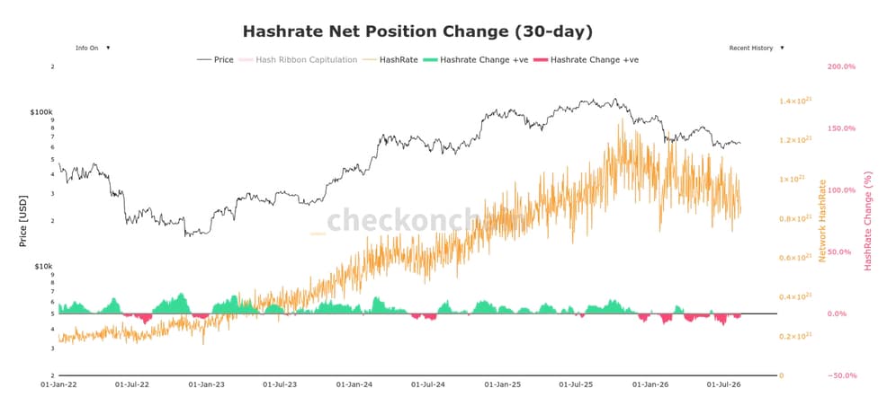 Thay đổi vị thế ròng của tỷ lệ băm Bitcoin. Nguồn: Checkonchain