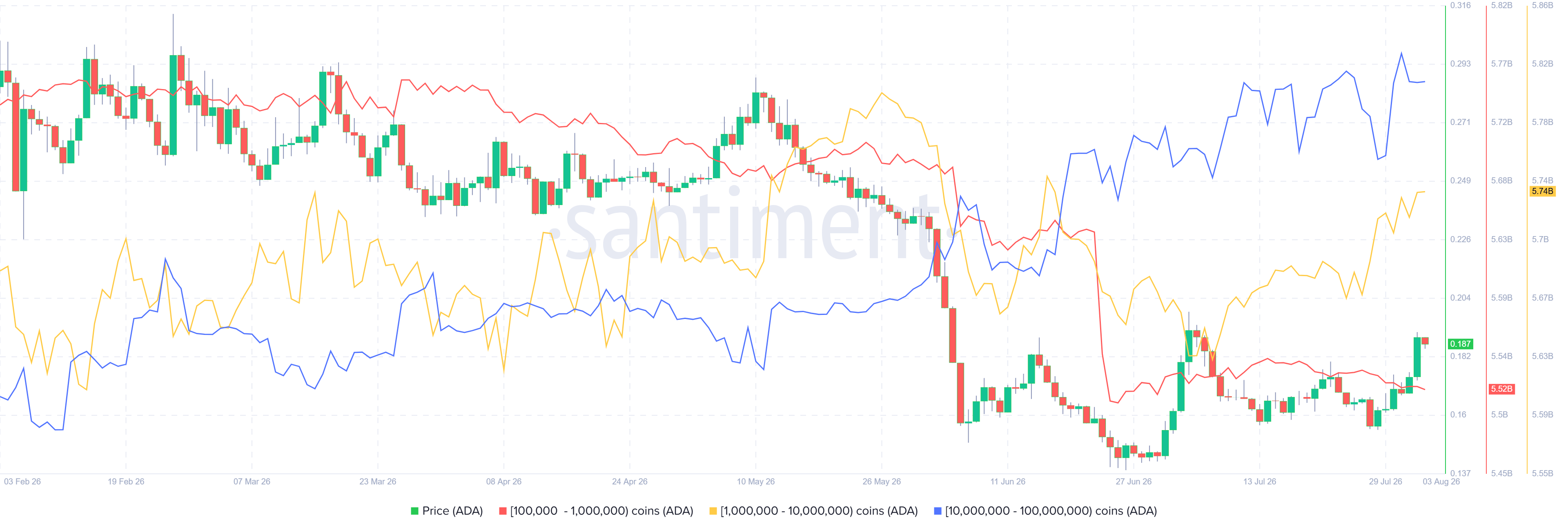 Biểu đồ thống kê phân bổ nguồn cung Cardano. Nguồn: Santiment