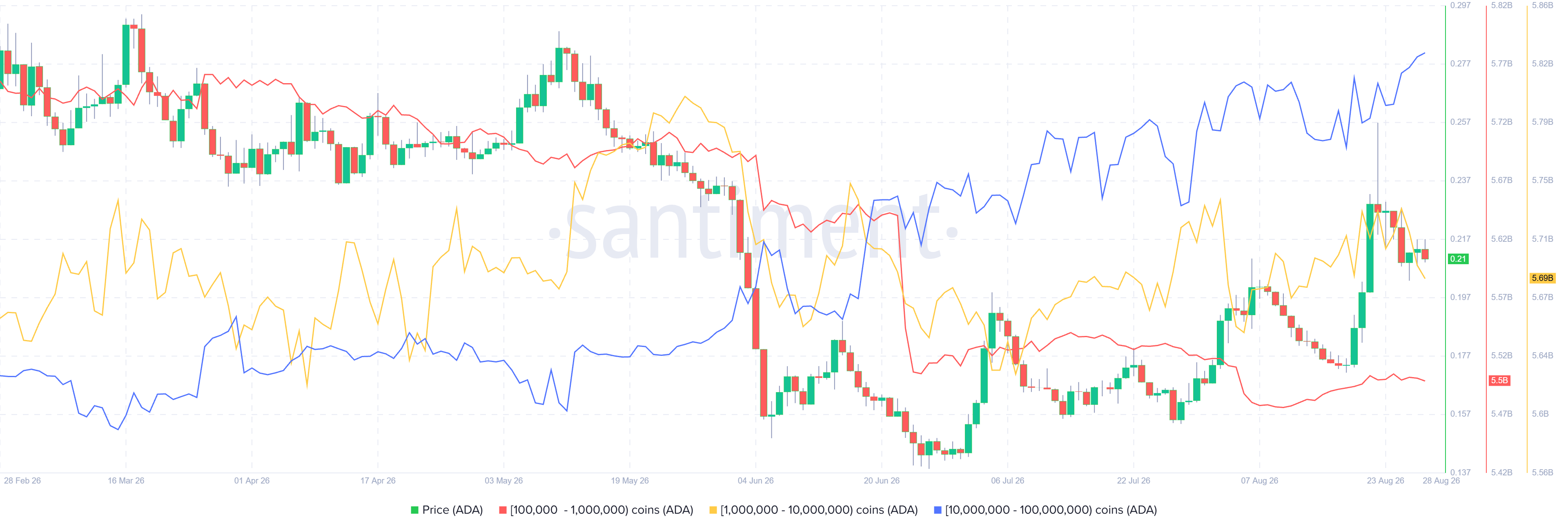 Biểu đồ thống kê phân bổ nguồn cung Cardano. Nguồn: Santiment