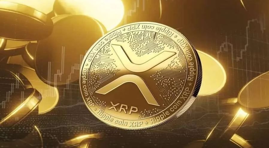 Evernorth, đơn vị quản lý kho bạc XR