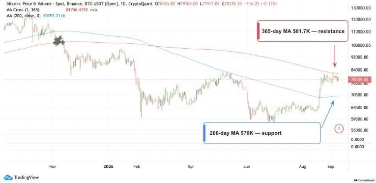 Biểu đồ BTC/USDT hàng ngày | Nguồn: CryptoQuant