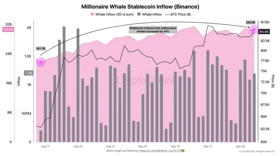 Dòng tiền stablecoin từ các "cá voi Bitcoin" đổ vào Binance (ảnh chụp màn hình). Nguồn: CryptoQuant