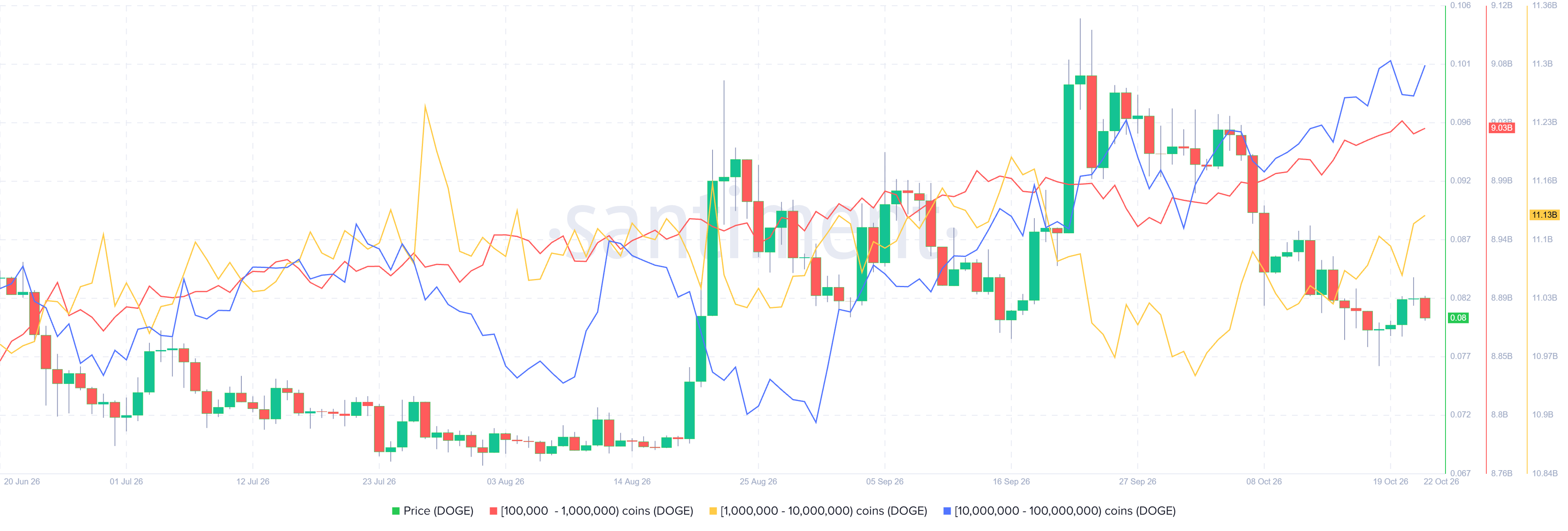 Biểu đồ phân bổ nguồn cung Dogecoin. Nguồn: Santiment