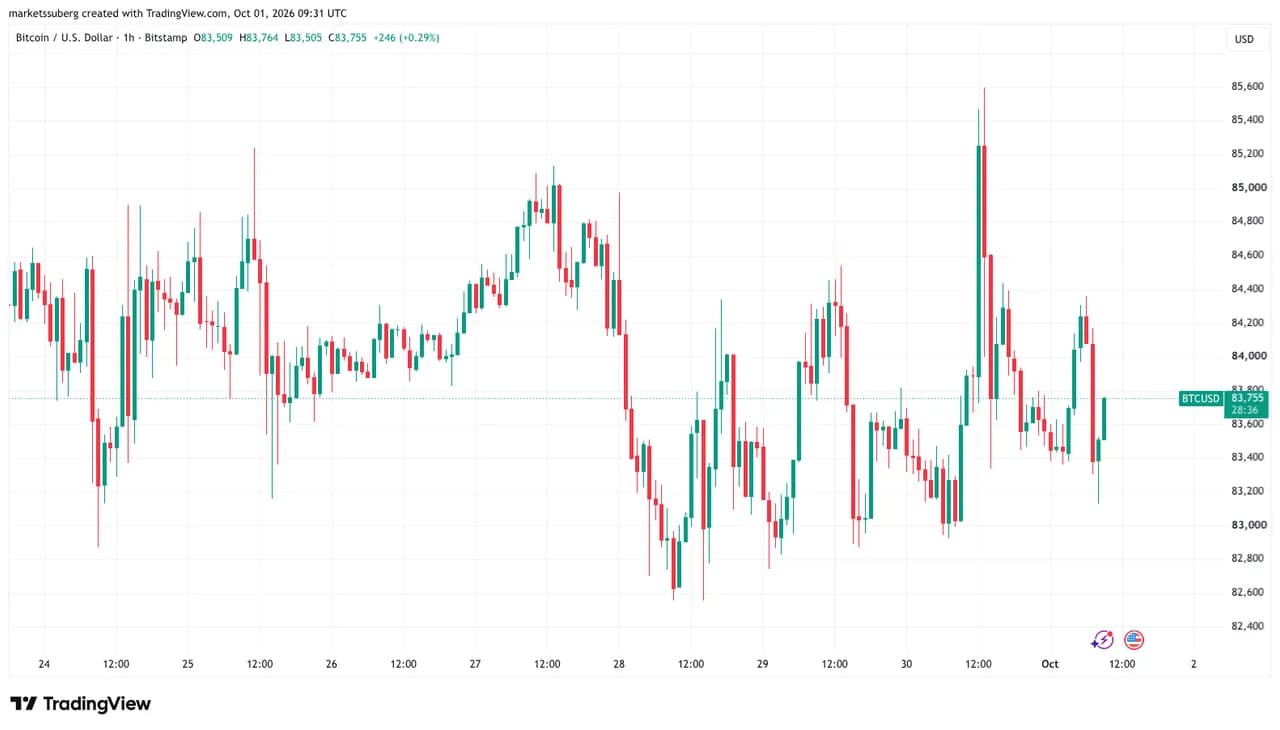 Biểu đồ BTC/USD khung thời gian một giờ. Nguồn: Cointelegraph/TradingView